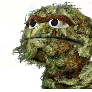 Meet your Posher, Nathaniel